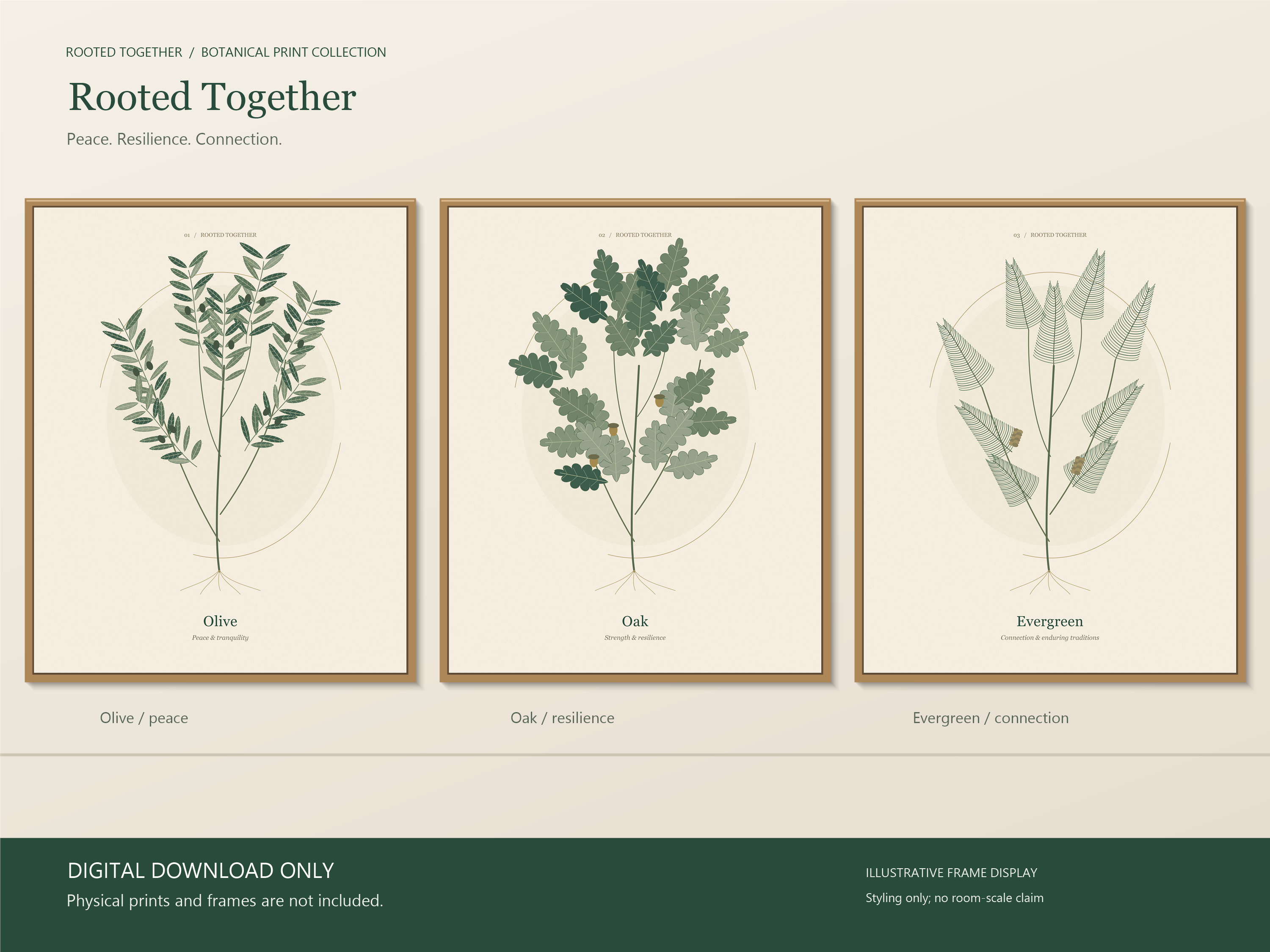 Rooted Together olive, oak and evergreen artwork in a stylized three-frame presentation